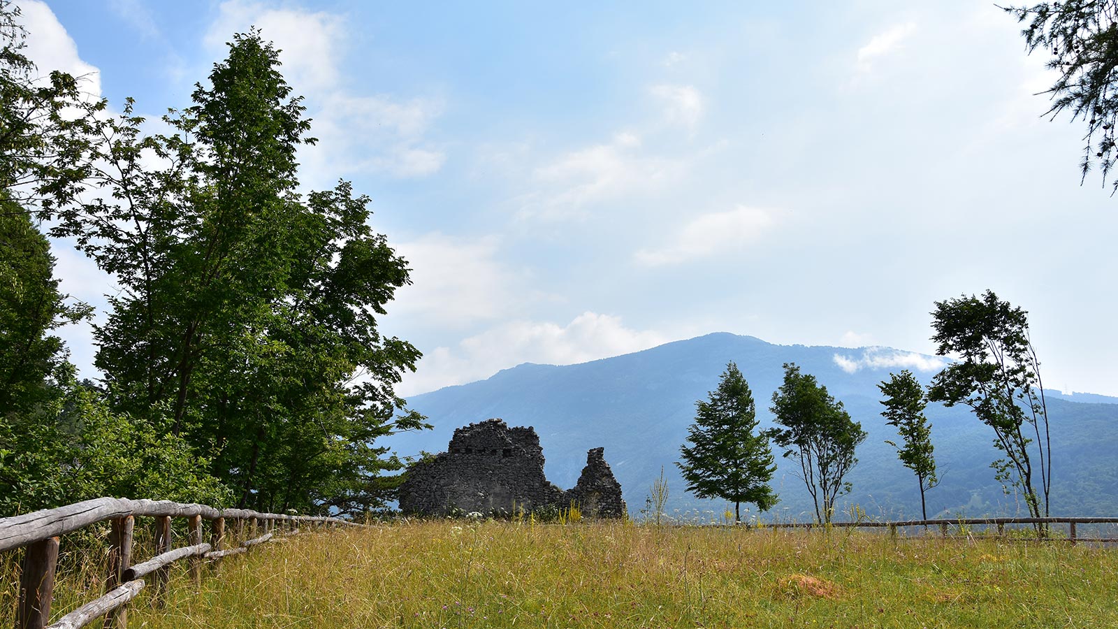 Un prato rigoglioso con le montagne sullo sfondo